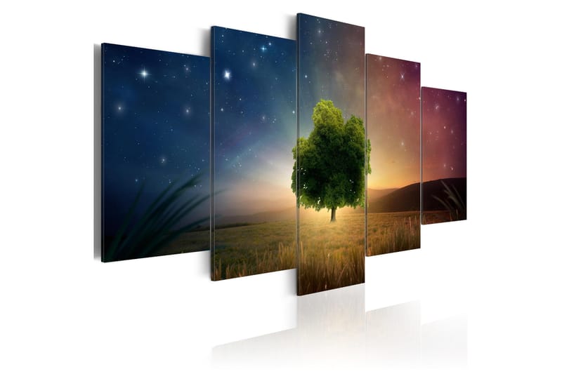 Taulu Starry Nights 100x50, Artgeist sp. z o. o.