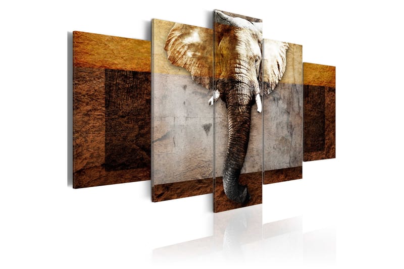 Taulu Strength Of Africa 100x50, Artgeist sp. z o. o.