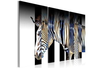 Taulu Stripes 120x80