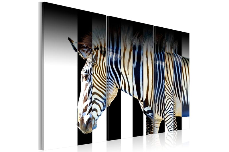Taulu Stripes 120x80 - Artgeist sp. z o. o. - Sisustustuotteet - Taulu & taide - Canvas-taulu