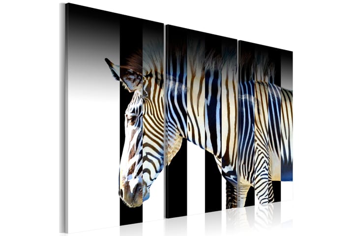 Taulu Stripes 120x80 - Artgeist sp. z o. o. - Canvas-taulu - Seinäkoristeet
