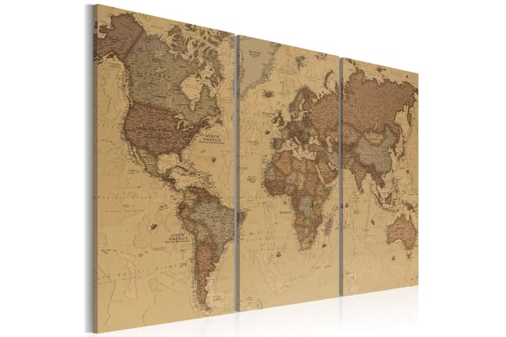 Taulu Stylish World Map 120x80 - Artgeist sp. z o. o. - Canvas-taulu - Seinäkoristeet