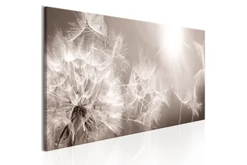 Taulu Summer Dandelions 150x50 - Artgeist sp. z o. o. - Sisustustuotteet - Taulu & taide - Canvas-taulu