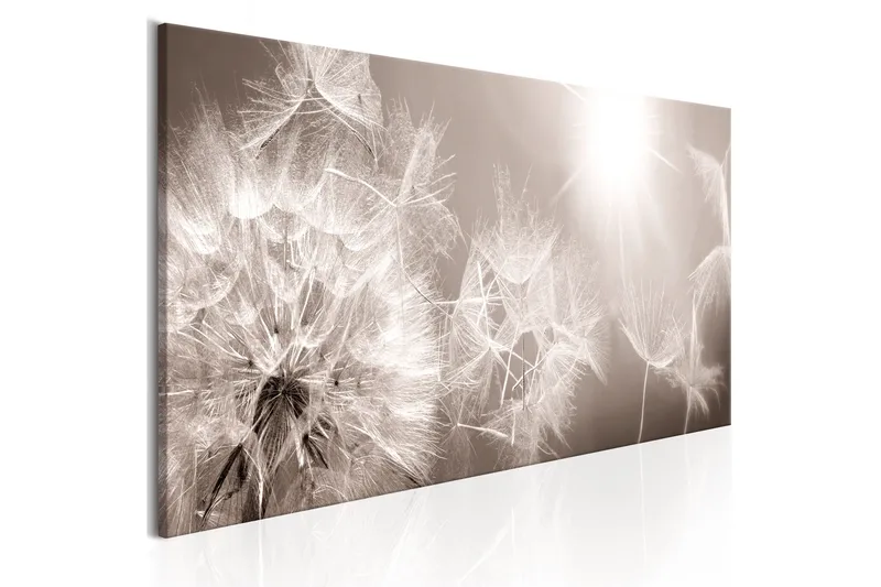 Taulu Summer Dandelions 150x50, Artgeist sp. z o. o.