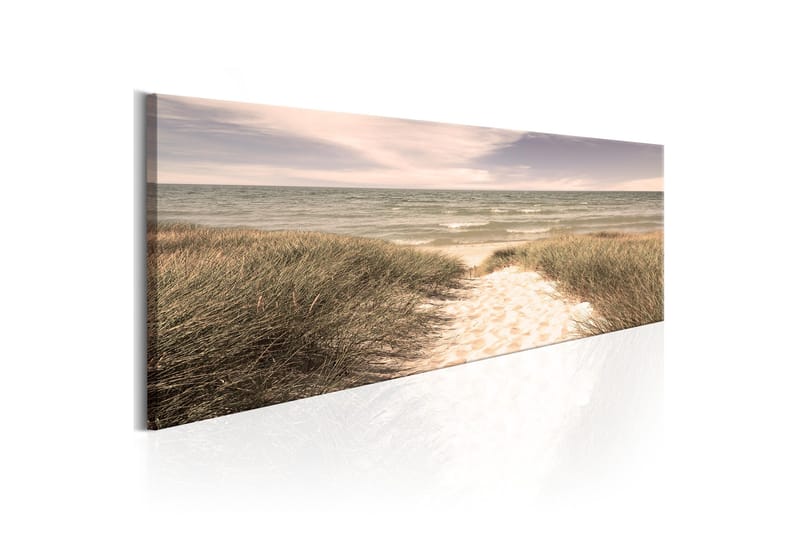Taulu Summer Dream 135x45, Artgeist sp. z o. o.