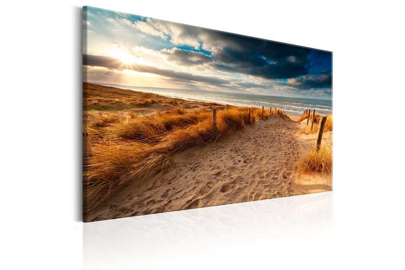Taulu Summer Storm 60x40 - Artgeist sp. z o. o. - Sisustustuotteet - Taulu & taide - Canvas-taulu