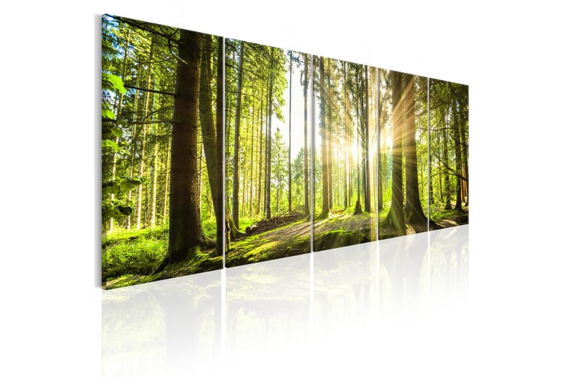 Taulu Sunlight 200x80 - Artgeist sp. z o. o. - Sisustustuotteet - Taulu & taide - Canvas-taulu