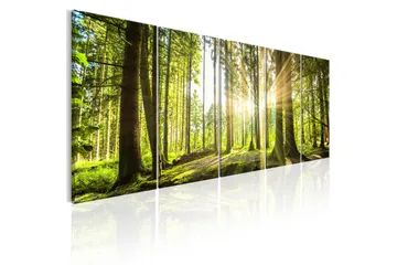 Taulu Sunlight 225x90