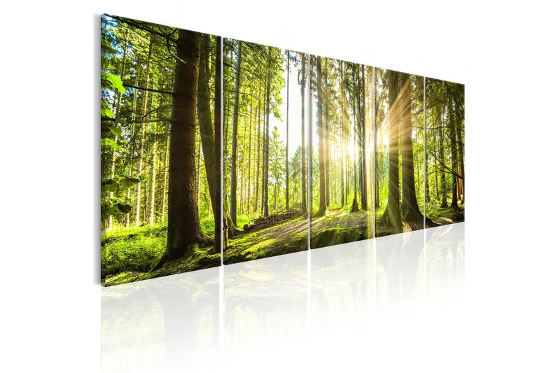 Taulu Sunlight 225x90, Artgeist sp. z o. o.