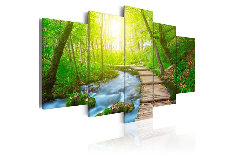 Taulu Sunny Forest 100x50, Artgeist sp. z o. o.