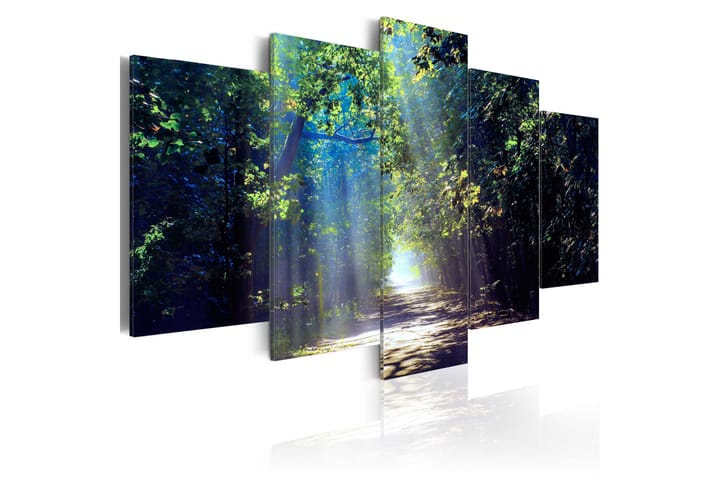 Taulu Sunny Forest Path 200x100 - Artgeist sp. z o. o. - Canvas-taulu - Seinäkoristeet