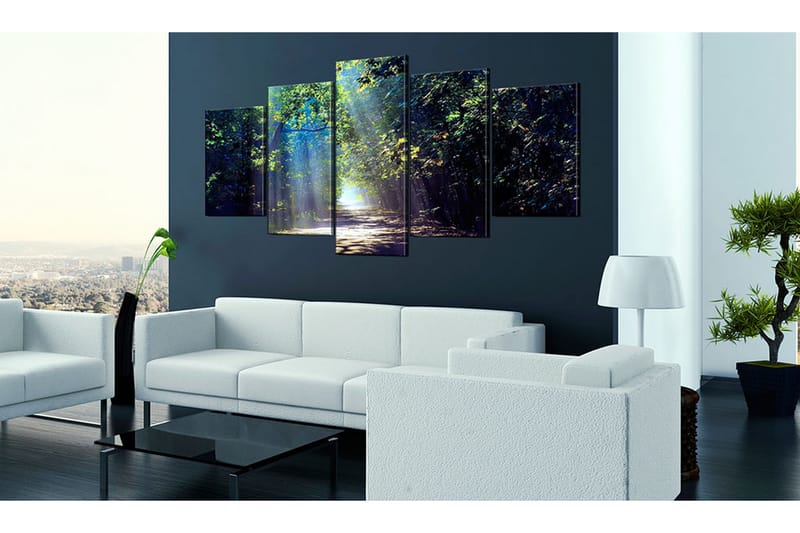 Taulu Sunny Forest Path 200x100 - Artgeist sp. z o. o. - Sisustustuotteet - Taulu & taide - Canvas-taulu