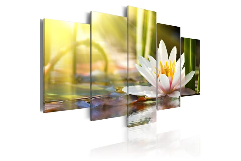 Taulu Sunny Lotus 100x50, Artgeist sp. z o. o.