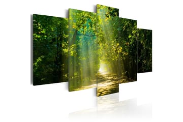 Taulu Sunshine Road 200x100