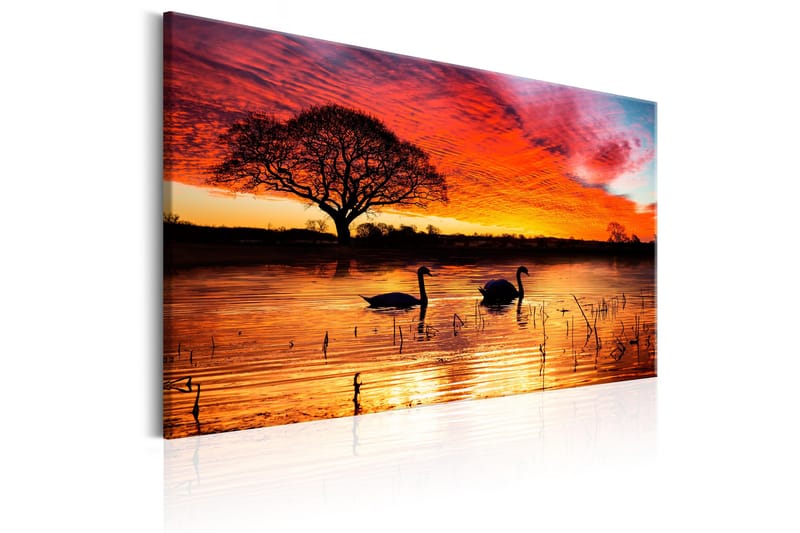 Taulu Swan Lake 120x80 - Artgeist sp. z o. o. - Sisustustuotteet - Taulu & taide - Canvas-taulu