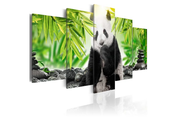 Taulu Sweet Little Panda 100x50 - Artgeist sp. z o. o. - Seinäkoristeet - Canvas-taulu