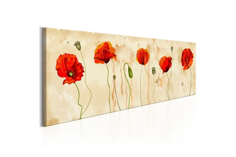 Taulu Tears Of Poppies 150x50, Artgeist sp. z o. o.