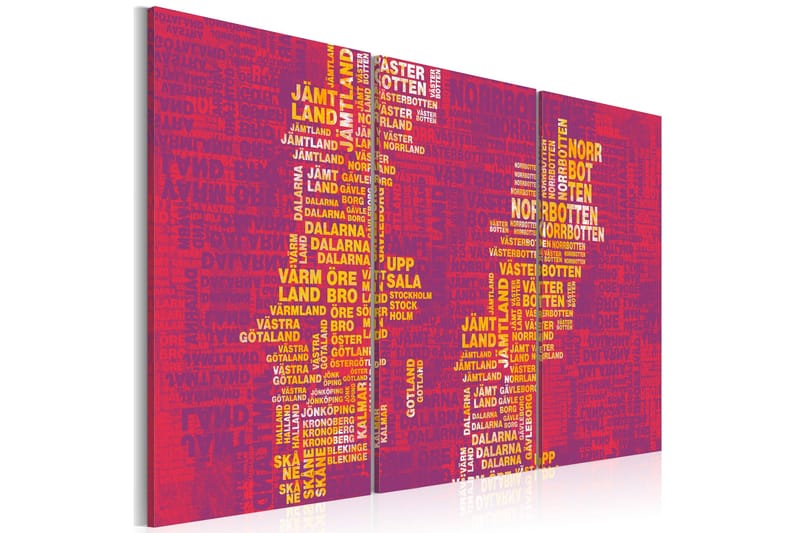Taulu Text Karta Över Sverige Roosa Triptych 120x80, Artgeist sp. z o. o.