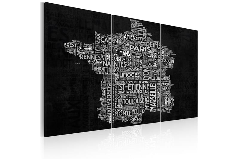 Taulu Text Map Of France Triptych 60x40, Artgeist sp. z o. o.