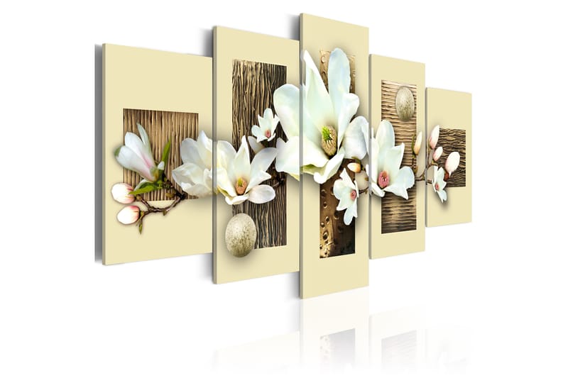 Taulu Texture And Magnolia 100x50 - Artgeist sp. z o. o. - Sisustustuotteet - Taulu & taide - Canvas-taulu