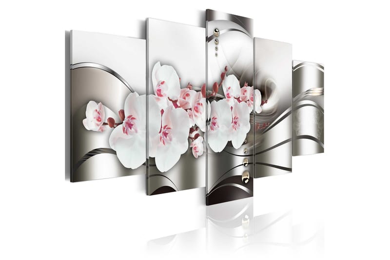 Taulu The Beauty Of Orchids 200x100, Artgeist sp. z o. o.