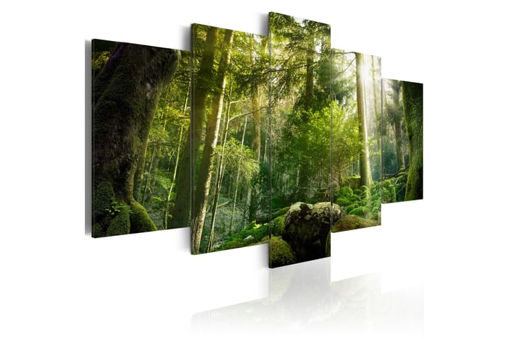 Taulu The Beauty Of The Forest 100x50 - Artgeist sp. z o. o. - Canvas-taulu - Seinäkoristeet