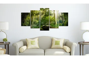 Taulu The Beauty Of The Forest 100x50 - Artgeist sp. z o. o. - Sisustustuotteet - Taulu & taide - Canvas-taulu