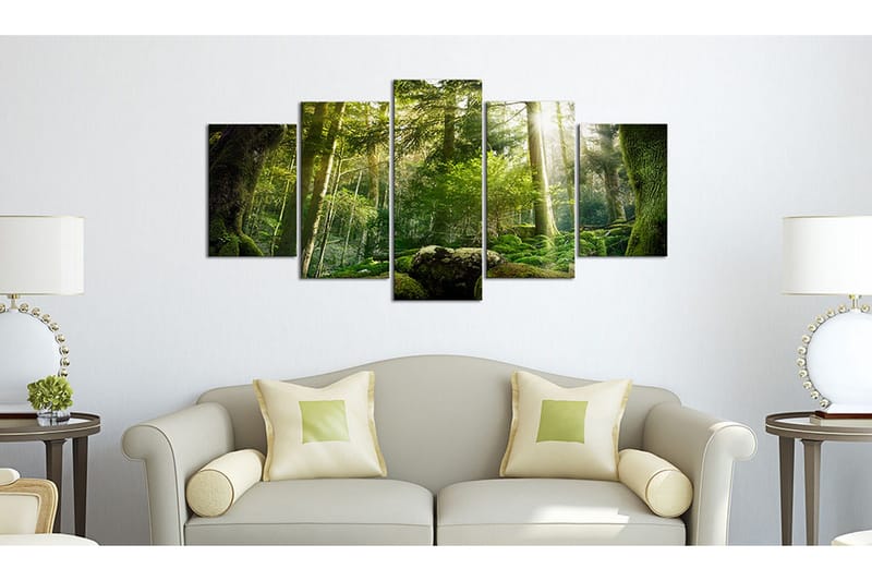 Taulu The Beauty Of The Forest 200x100 - Artgeist sp. z o. o. - Sisustustuotteet - Taulu & taide - Canvas-taulu