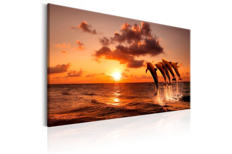 Taulu The Dolphin's Dance 90x60 - Artgeist sp. z o. o. - Sisustustuotteet - Taulu & taide - Canvas-taulu