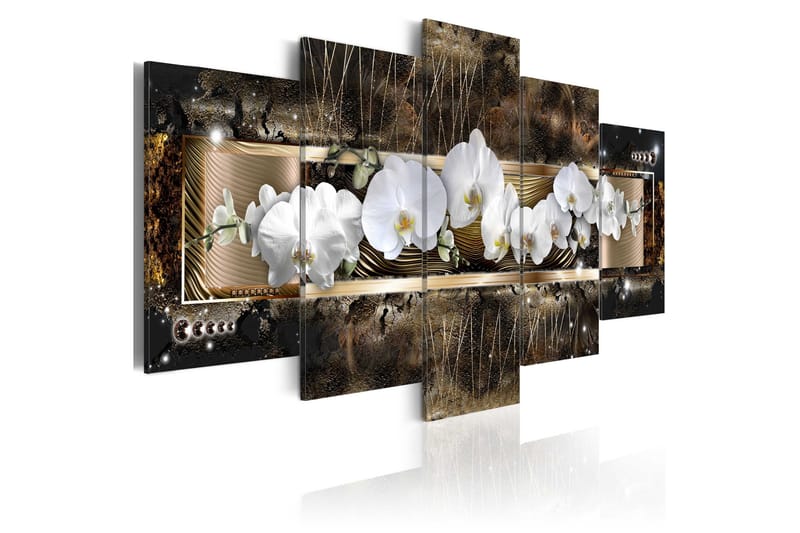 Taulu The Dream Of A Orchids 200x100, Artgeist sp. z o. o.