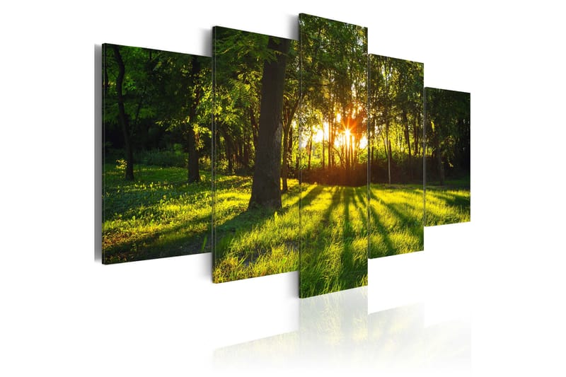Taulu The Forest Reflection 200x100, Artgeist sp. z o. o.