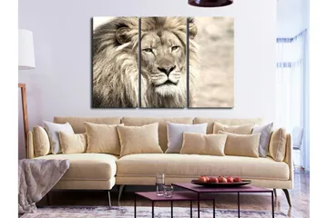 Taulu The King Of Beasts 3 Parts Beige 120x80 - Artgeist sp. z o. o. - Sisustustuotteet - Taulu & taide - Canvas-taulu