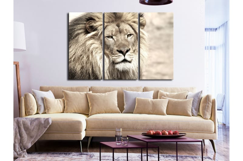 Taulu The King Of Beasts 3 Parts Beige 120x80 - Artgeist sp. z o. o. - Sisustustuotteet - Taulu & taide - Canvas-taulu