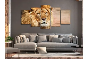 Taulu The King Of Beasts 5 Parts Wide Oranssi 100x50 - Artgeist sp. z o. o. - Sisustustuotteet - Taulu & taide - Canvas-taulu
