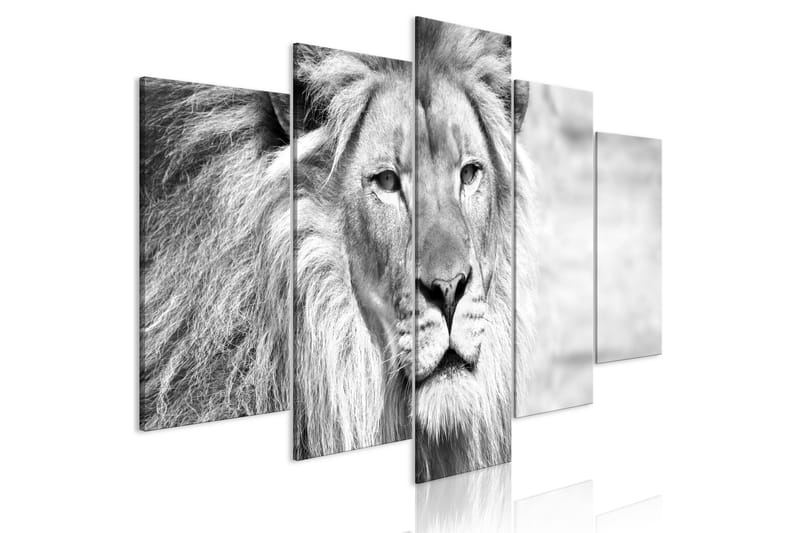 Taulu The King Of Beasts 5 Parts Wide B&W 100x50 - Artgeist sp. z o. o. - Canvas-taulu - Seinäkoristeet