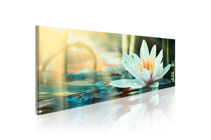Taulu The Lake Of Lotus 150x50, Artgeist sp. z o. o.