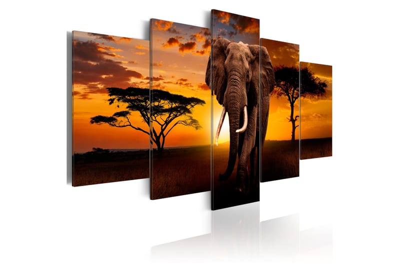 Taulu The Savannah King 200x100 - Artgeist sp. z o. o. - Sisustustuotteet - Taulu & taide - Canvas-taulu