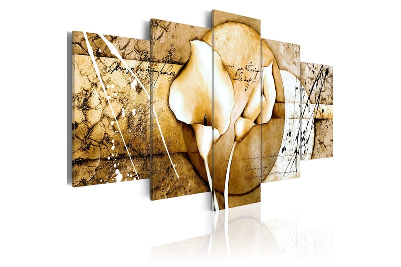 Taulu The Secret Of Calla Lily Beige 100x50 - Artgeist sp. z o. o. - Sisustustuotteet - Taulu & taide - Canvas-taulu