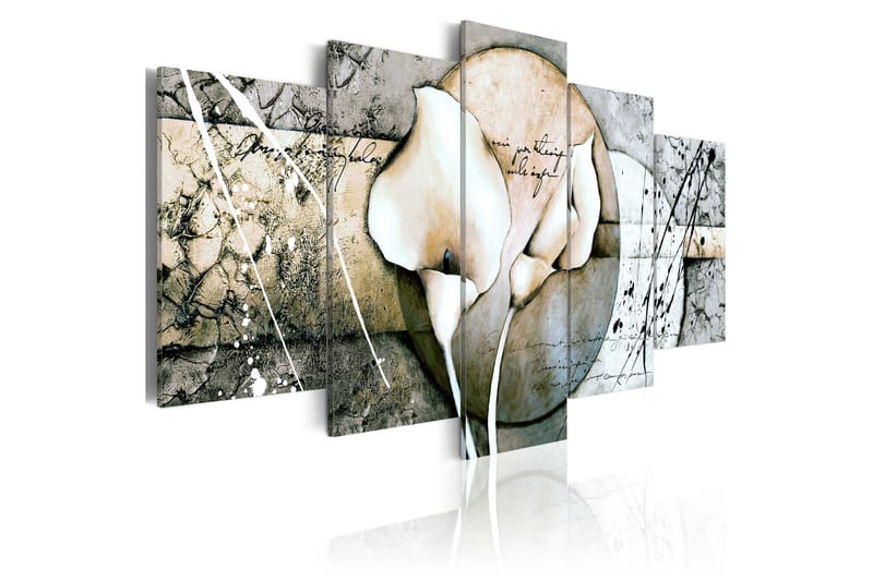 Taulu The Secret Of Calla Lily Grey 100x50 - Artgeist sp. z o. o. - Sisustustuotteet - Taulu & taide - Canvas-taulu