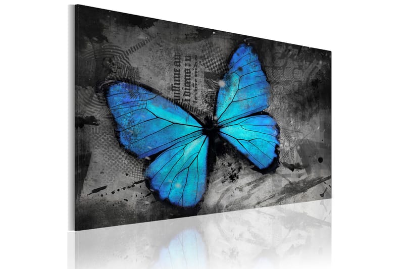 Taulu The study of butterfly 120x80, Artgeist sp. z o. o.