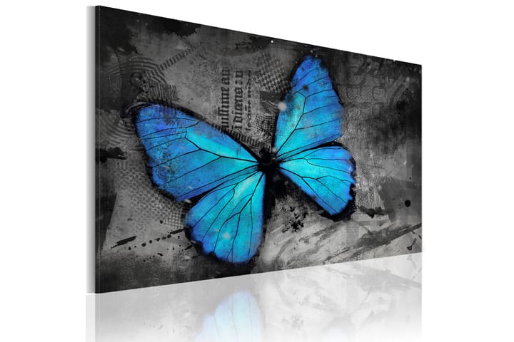 Taulu The Study Of Butterfly 90x60 - Artgeist sp. z o. o. - Canvas-taulu - Seinäkoristeet