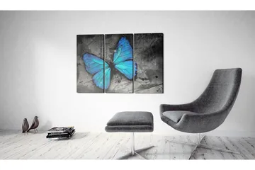 Taulu The Study Of Butterfly Triptych 120x80 - Artgeist sp. z o. o. - Sisustustuotteet - Taulu & taide - Canvas-taulu