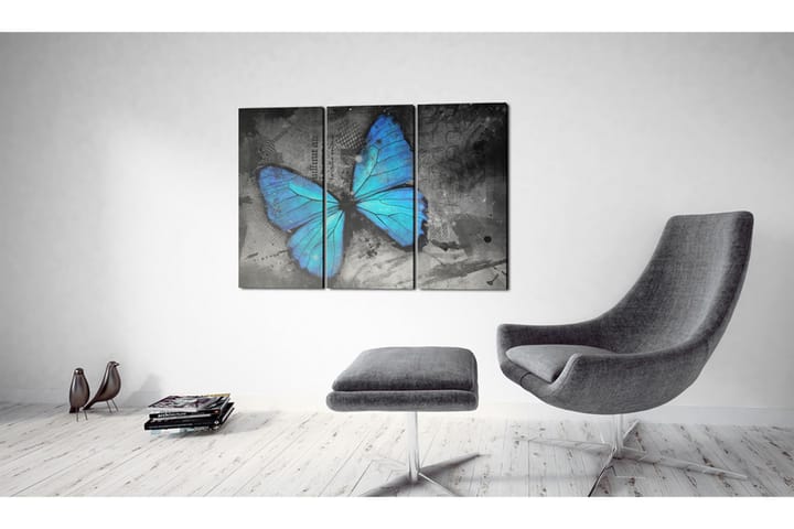 Taulu The study of butterfly triptych 90x60 - Artgeist sp. z o. o. - Canvas-taulu - Seinäkoristeet