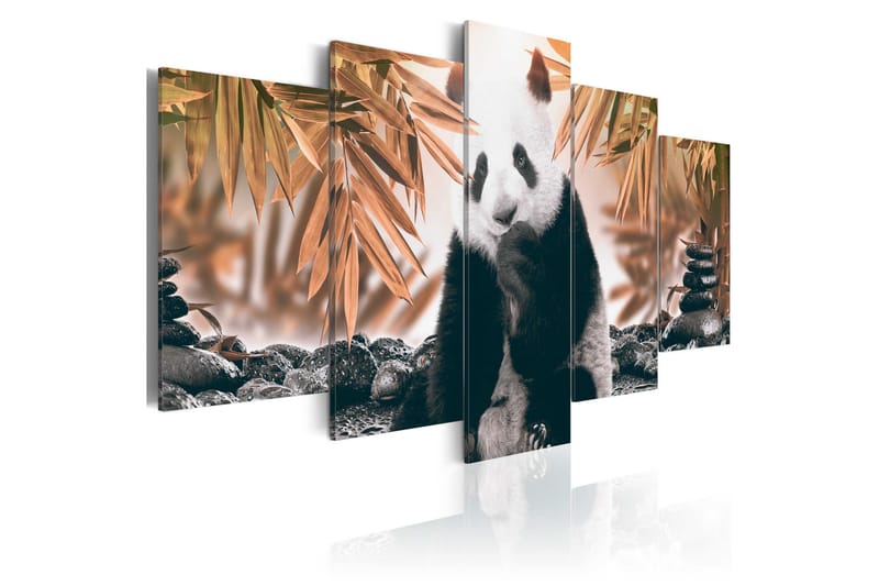 Taulu Thoughtful Panda 100x50, Artgeist sp. z o. o.