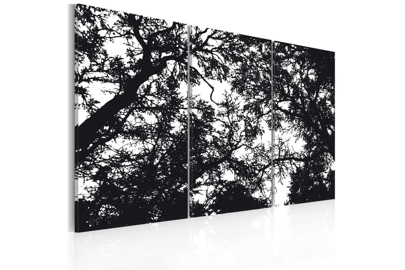 Taulu Tiheä metsä 90x60 - Artgeist sp. z o. o. - Sisustustuotteet - Taulu & taide - Canvas-taulu