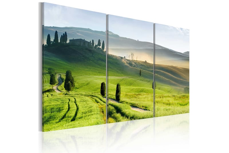 Taulu Time Of Harvest 60x40, Artgeist sp. z o. o.