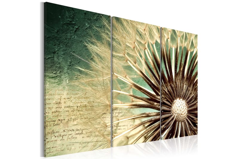 Taulu Transitory Beauty 90x60 - Artgeist sp. z o. o. - Sisustustuotteet - Taulu & taide - Canvas-taulu