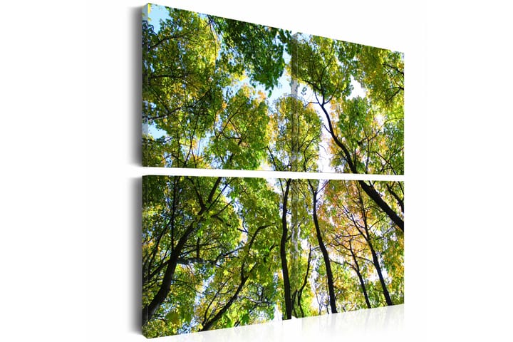 Taulu Treetops 60x60 - Artgeist sp. z o. o. - Canvas-taulu - Seinäkoristeet