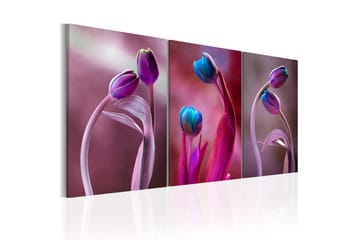 Taulu Tulips In Love 120x60