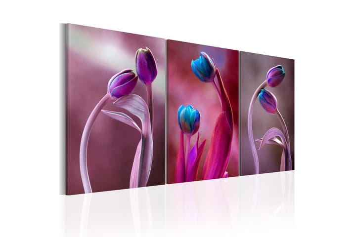 Taulu Tulips In Love 120x60 - Artgeist sp. z o. o. - Canvas-taulu - Seinäkoristeet